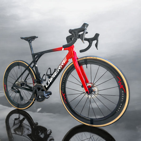 Lapierre Transformed: Wheel Angel SL54x Carbon Spoke Wheelset in Singapore
