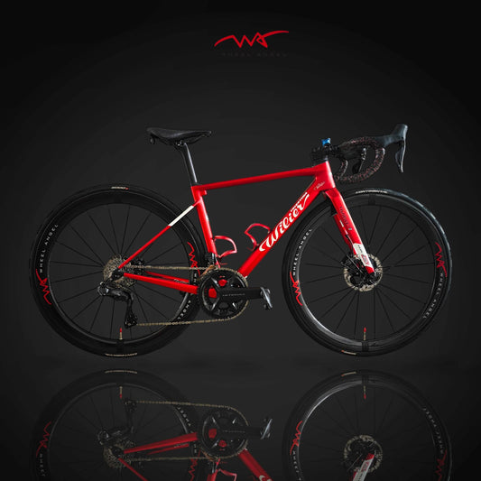 The Ultimate Bike Upgrade: Why Our 1244g Carbon Spokes Are a Game-Changer