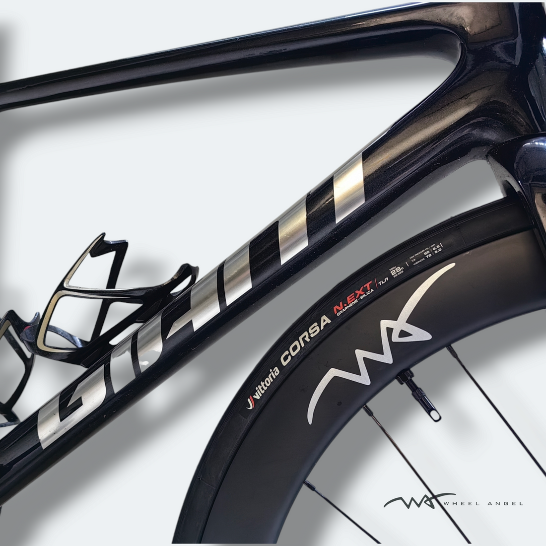 GIANT TCR